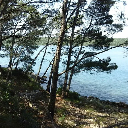Appartement Maestral