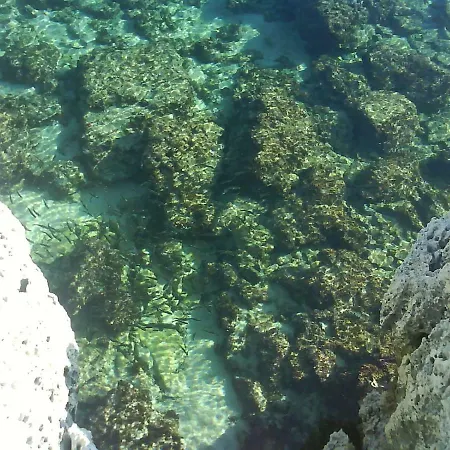 Maestral Lejlighed Banjole